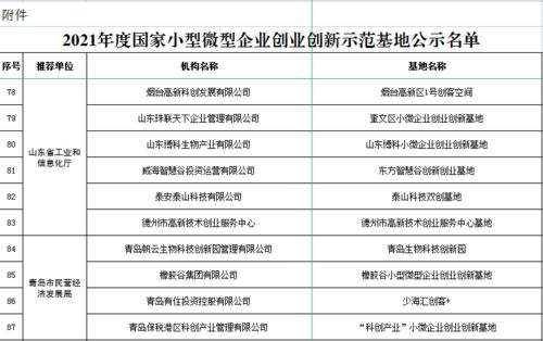 創(chuàng  )業(yè)創(chuàng  )新基地支出明細