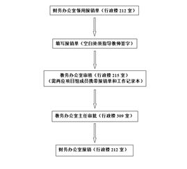 創(chuàng  )新創(chuàng  )業(yè)項目流程大學(xué)生