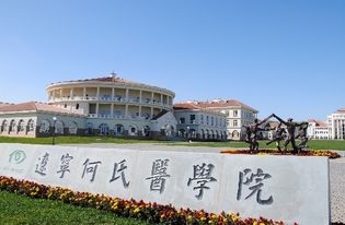 遼寧何氏醫學(xué)院創(chuàng  )新創(chuàng  )業(yè)獎學(xué)金