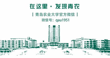 團隊,創(chuàng  )新,創(chuàng  )業(yè)