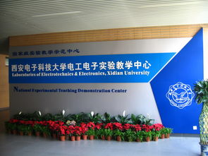 科學(xué)技術(shù)與創(chuàng  )新創(chuàng  )業(yè)學(xué)生評價(jià)大學(xué)生,科學(xué)技術(shù)與創(chuàng  )新創(chuàng  )業(yè)自我評價(jià),科學(xué)技術(shù)與創(chuàng  )新創(chuàng  )業(yè)評語(yǔ)