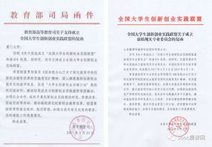 大學(xué)生國(guó)家級(jí)創(chuàng)新創(chuàng)業(yè)項(xiàng)目含金量,大學(xué)生創(chuàng)新創(chuàng)業(yè)項(xiàng)目國(guó)家級(jí)立項(xiàng),大學(xué)生創(chuàng)新創(chuàng)業(yè)項(xiàng)目國(guó)家級(jí)和省級(jí)的區(qū)別