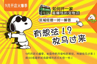 作業(yè),寵物店,創(chuàng  )新,創(chuàng  )業(yè)