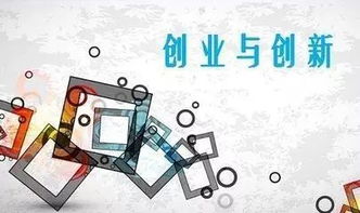 自己的,特征,評估,創(chuàng  )新
