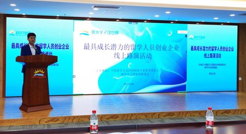 偏向,科技創(chuàng  )新,創(chuàng  )業(yè)投資,企業(yè)