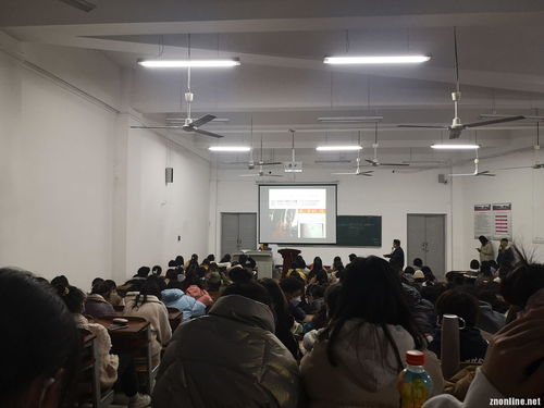 師范生創(chuàng  )新創(chuàng  )業(yè)方式有哪些,師范生創(chuàng  )新創(chuàng  )業(yè)實(shí)踐報告,師范生創(chuàng  )業(yè)創(chuàng  )新計劃書(shū)