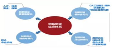 創(chuàng  )新創(chuàng  )業(yè)孵化載體什么意思