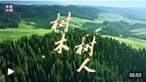 樹(shù)人樹(shù)木創(chuàng  )業(yè)創(chuàng  )新