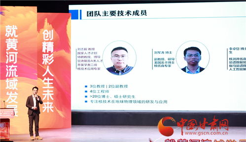 分工,團隊,成員,創(chuàng  )新