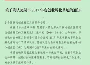 蕪湖市創(chuàng  )新創(chuàng  )業(yè)人才認定補貼