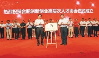 合肥,高層次,創(chuàng  )新,協(xié)會(huì )