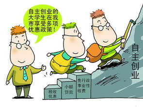 創(chuàng)新創(chuàng)業(yè)中的政策風(fēng)險,創(chuàng)新創(chuàng)業(yè)實踐報告,創(chuàng)新創(chuàng)業(yè)理論研究與實踐