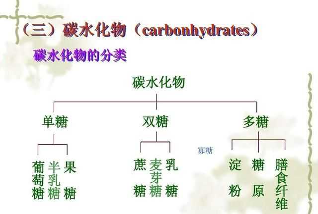 什么是碳水化合物，什么是碳水水化合物？圖3