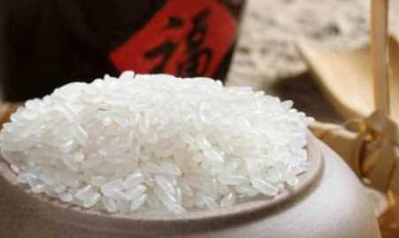 米有米蟲(chóng)該怎么辦,大米里面發(fā)現了米蟲(chóng)怎么辦圖10