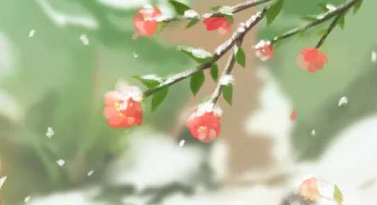 不經(jīng)一事的下一句,時(shí)間識人,不經(jīng)一事,不懂一人下一句圖1
