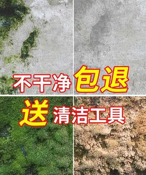 水泥地板長(cháng)青苔怎么清洗