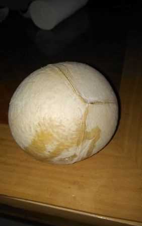 椰子汁什么味道算壞了