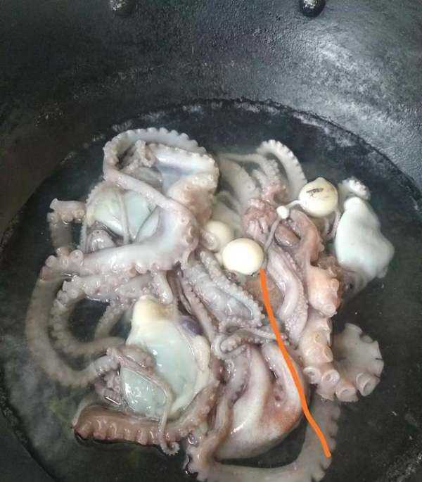 海鮮爆頭是什么東西,海邊有些漁民吃八爪魚動不動就是爆頭的圖7