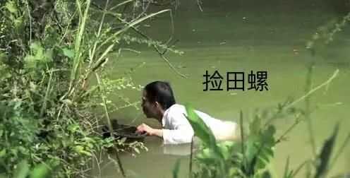 螺絲肉的功效與作用，螺絲肉怎么炒好吃？圖4