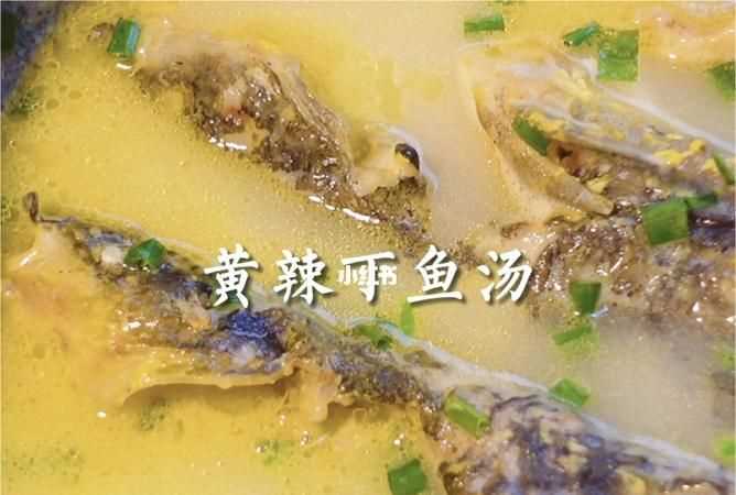 黃顙魚(yú)的功效與作用、禁忌和食用方法