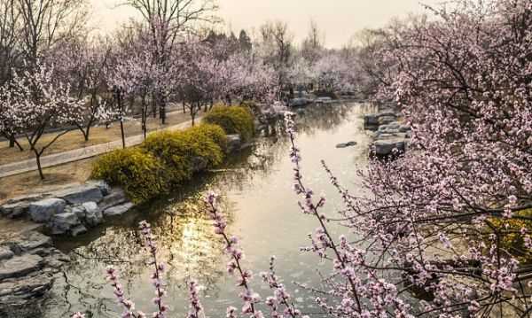 伏羲洞的由來(lái),酉陽(yáng)桃花源的太古洞就是伏羲洞嗎圖2