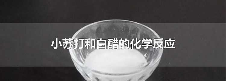 醋與小蘇打混合后產生的氣體是什么顏色