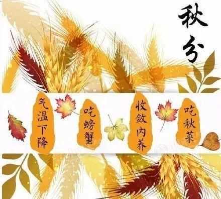 北方人秋分吃什么傳統食物 北方秋分吃的幾種傳統食物