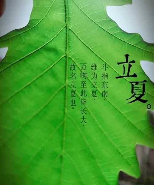 關(guān)于立夏的古詩二年級的