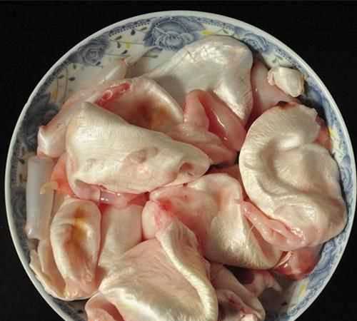 魚(yú)泡干是什么