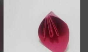 花怎么折，紙花怎么做？圖6
