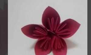 花怎么折，紙花怎么做？圖7
