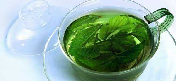 桑樹(shù)葉怎樣處理泡水喝,“山參熱補桑樹(shù)葉清補”怎樣正確食用桑葉圖10