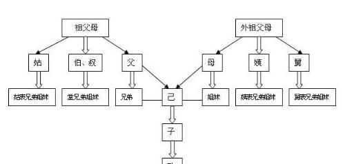親姐弟屬于直系親屬嗎