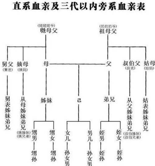 姐弟算直系親屬關(guān)系嗎