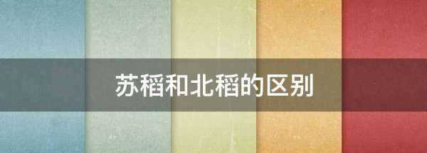 蘇稻和北稻的區別,稻香村蘇稻和北稻區別圖1