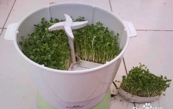 豆芽機怎么使用,豆芽機的使用方法介紹圖3