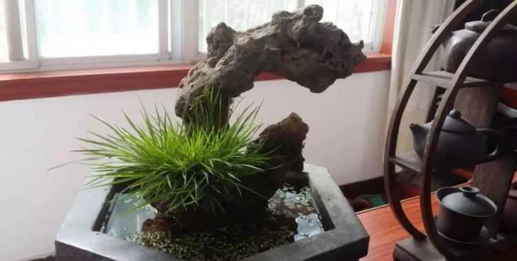 左邊一個(gè)提手旁，右邊一個(gè)昌，怎么讀怎么念
