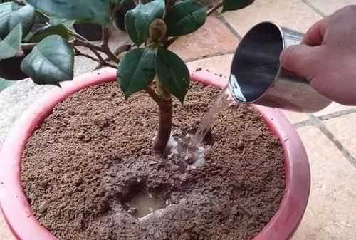 見干見濕和間干間濕有什么區(qū)別