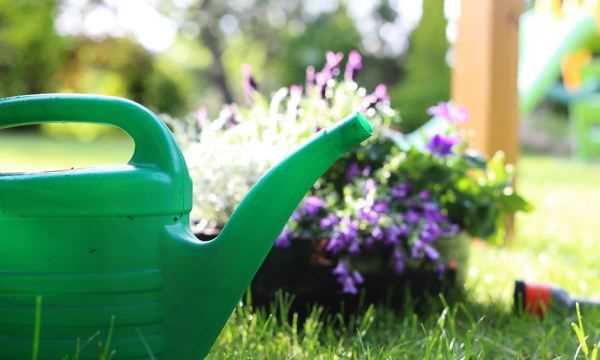 怎么判斷見干見濕,見干見濕和間干間濕有什么區(qū)別圖2