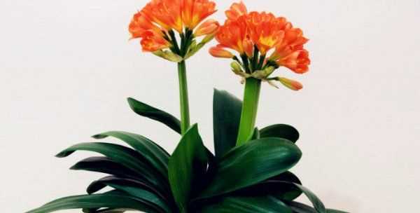 怎么判斷見干見濕,見干見濕和間干間濕有什么區(qū)別圖7