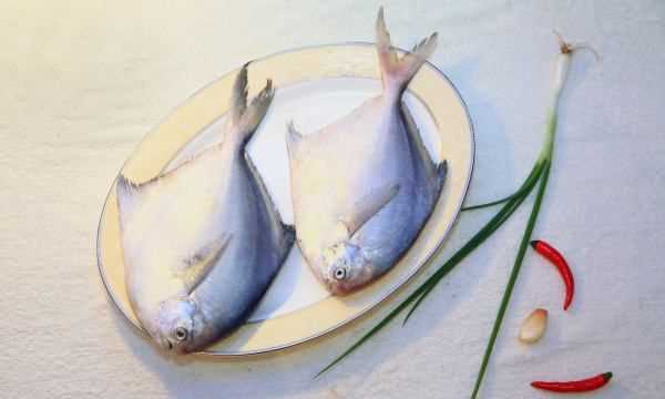 鯧魚怎么做最好吃又簡(jiǎn)單,鯧魚怎么做好吃又簡(jiǎn)單圖1