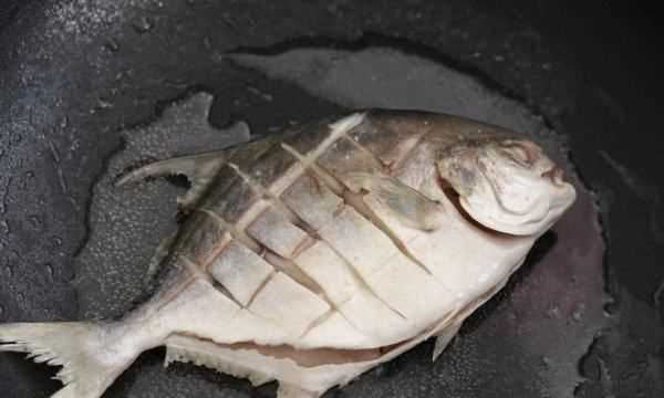 鯧魚怎么做最好吃又簡(jiǎn)單,鯧魚怎么做好吃又簡(jiǎn)單圖5