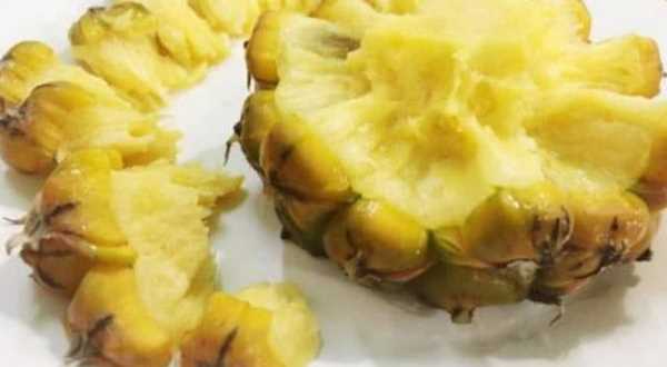 手撕菠蘿要泡鹽水,波蘿與鳳梨有什處別稱(chēng)圖7