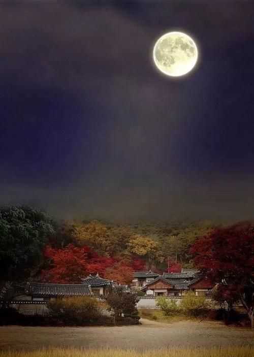 賞月詩(shī)句