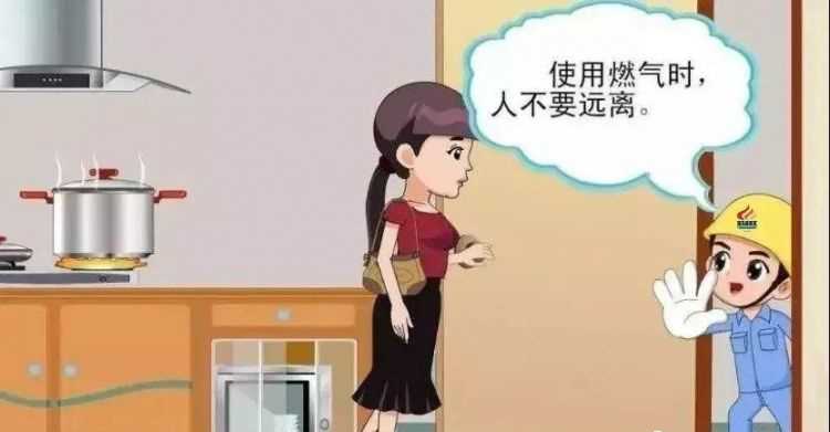 燃?xì)馀c天然氣哪個安全