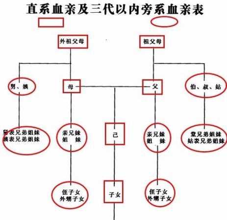 血親的關系是什么意思