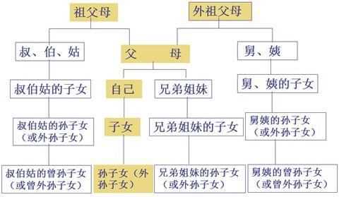 血親至親什么意思?