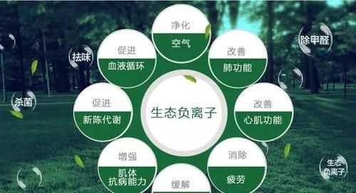 凈化空氣最好的辦法
