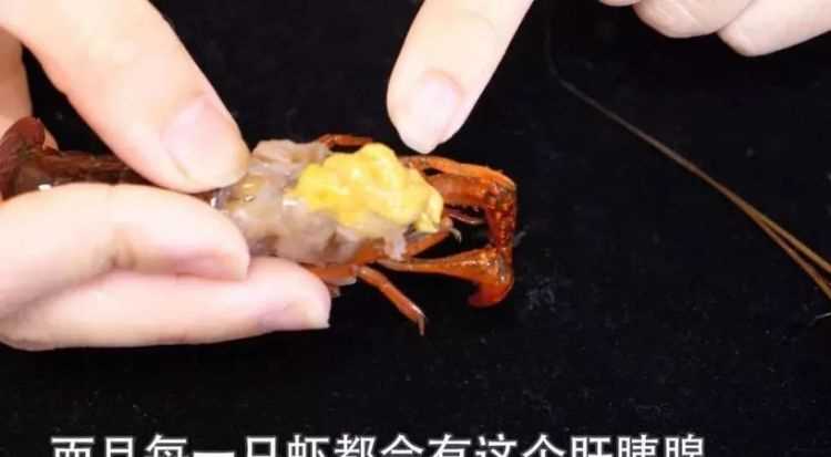 蝦黃和屎的區(qū)別 怎么辨別蝦黃和屎黃