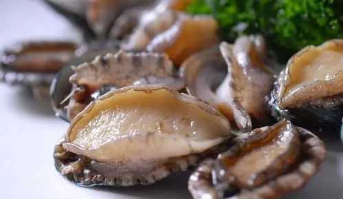 小鮑魚(yú)的做法有哪幾種,鮑魚(yú)的做法大全簡(jiǎn)單又好吃圖1